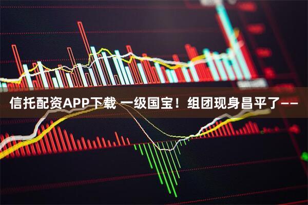 信托配资APP下载 一级国宝！组团现身昌平了——