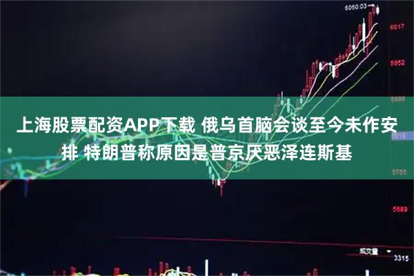 上海股票配资APP下载 俄乌首脑会谈至今未作安排 特朗普称原因是普京厌恶泽连斯基